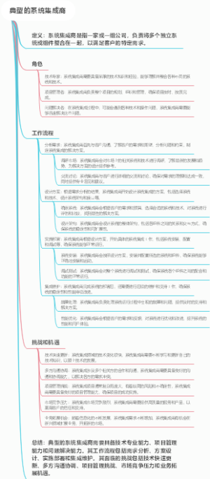 典型的系统集成商