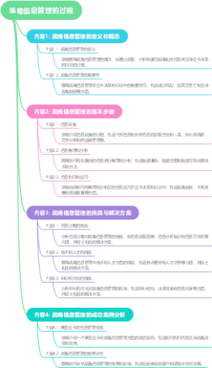 战略信息管理的过程