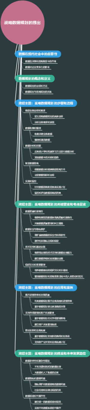 战略数据规划的提出