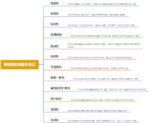 财务系统的基本特点