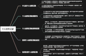 个人信用记录