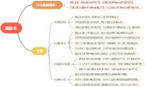 超级本