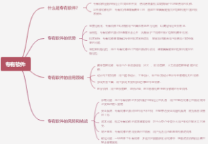 专有软件