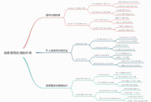 战略管理咨询的作用