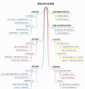 整体方针或战略