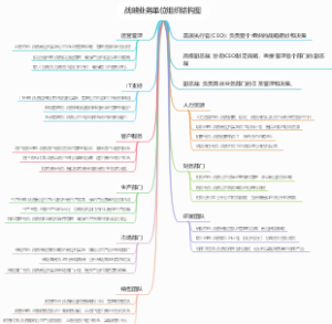 战略业务单位组织结构图