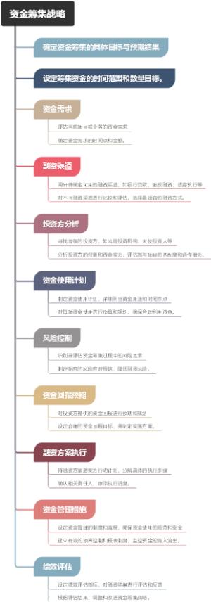 资金筹集战略