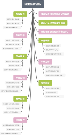 自主品牌创新