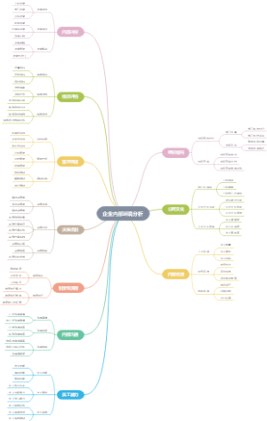 企业内部环境分析