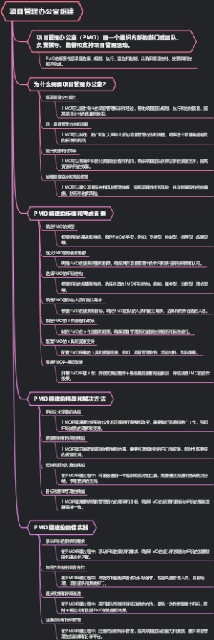 项目管理办公室组建