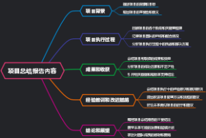 项目总结报告内容