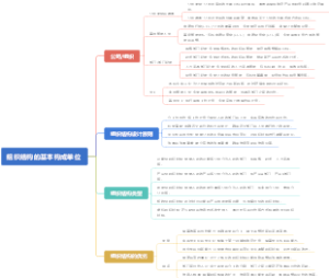 组织结构的基本构成单位