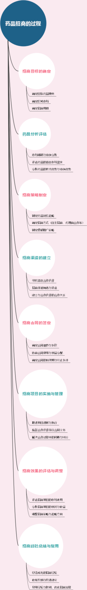 药品招商的过程