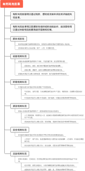 有形风险因素