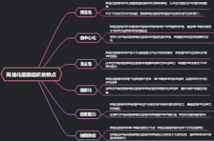 网络化层级组织的特点