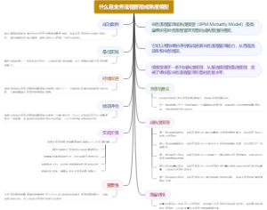 什么是业务流程管理成熟度模型