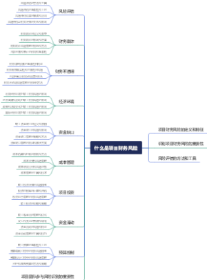 什么是项目财务风险