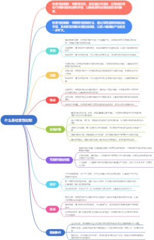 什么是检查性控制