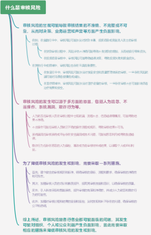 什么是审核风险