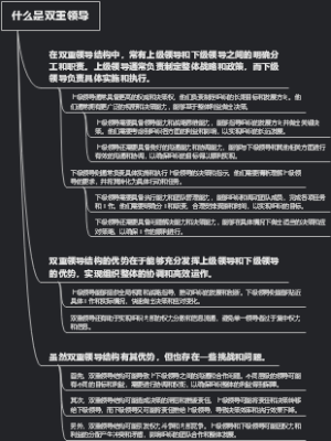 什么是双重领导