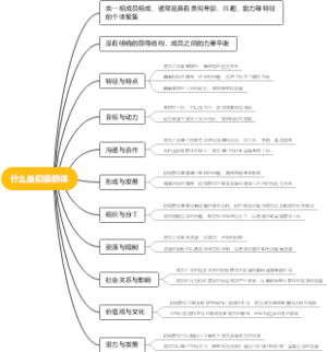 什么是初级群体