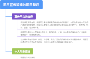明星宣传策略的运用技巧