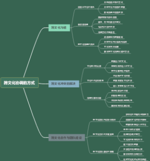 跨文化协调的方式
