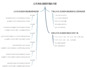 公共关系战略环境的内容