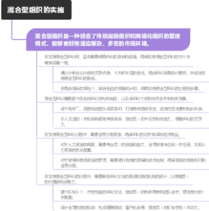 混合型组织的实施