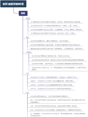 变形虫组织的特征