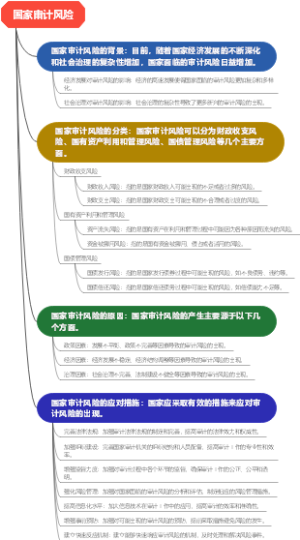 国家审计风险