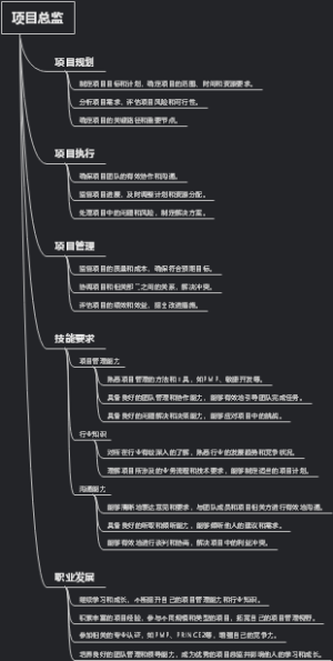 项目总监