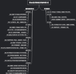 项目组织的组织结构形式