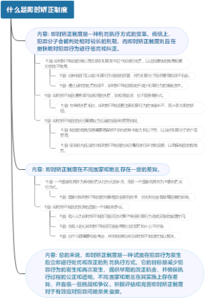 什么是即时矫正制度
