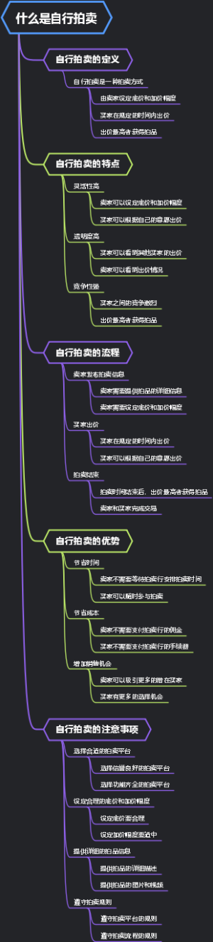 什么是自行拍卖