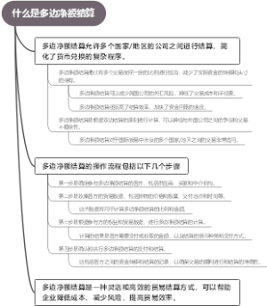 什么是多边净额结算