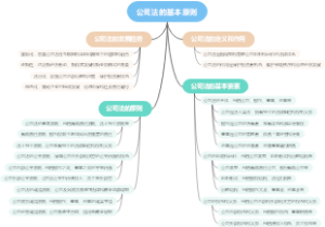 公司法的基本原则