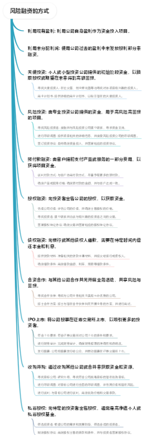 风险融资的方式