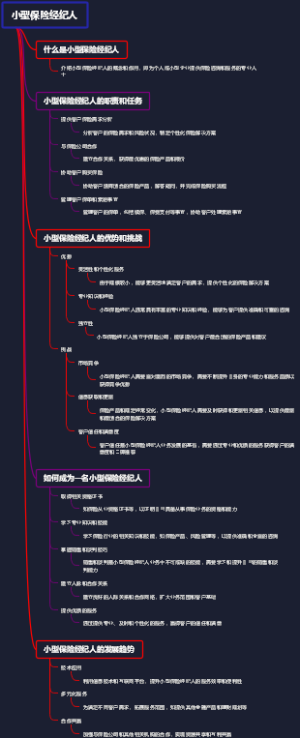 小型保险经纪人