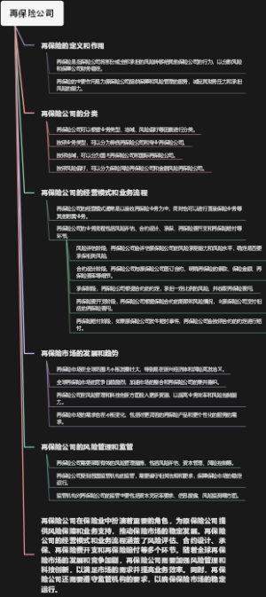 再保险公司