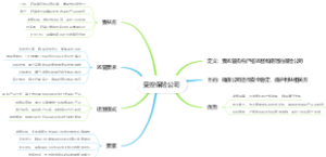 受控保险公司