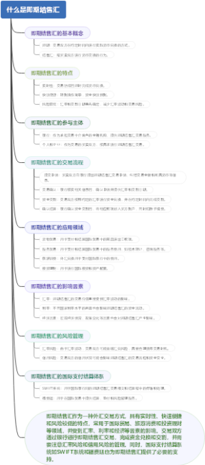 什么是即期结售汇