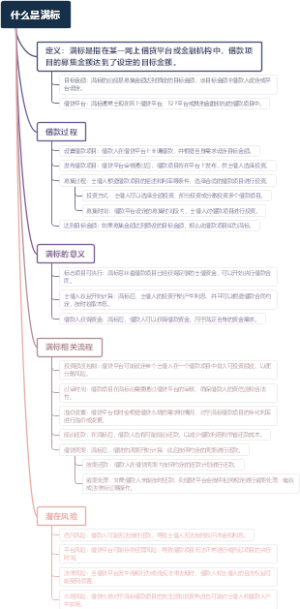 什么是满标