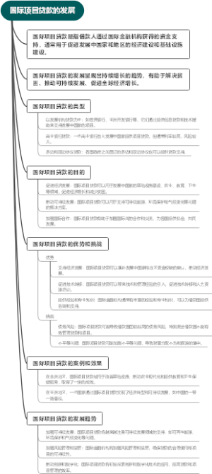 国际项目贷款的发展