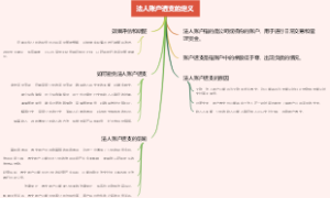 法人账户透支的定义