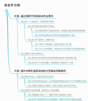 麦金农方案