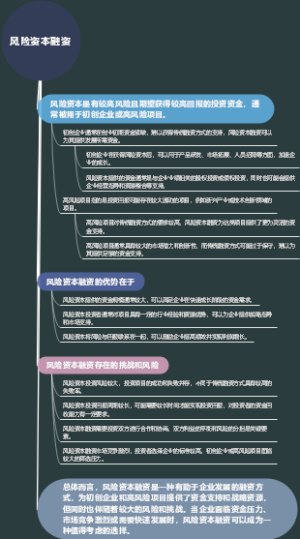风险资本融资