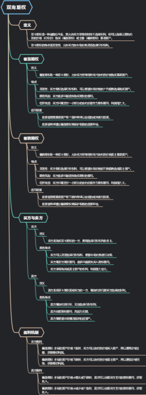 双向期权