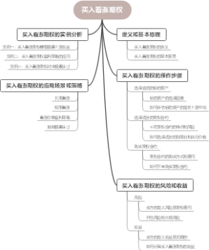 买入看涨期权