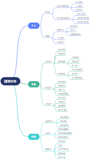 融资主体